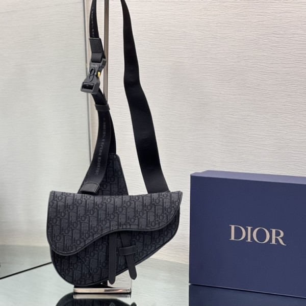 Dior 스트랩 버클 백